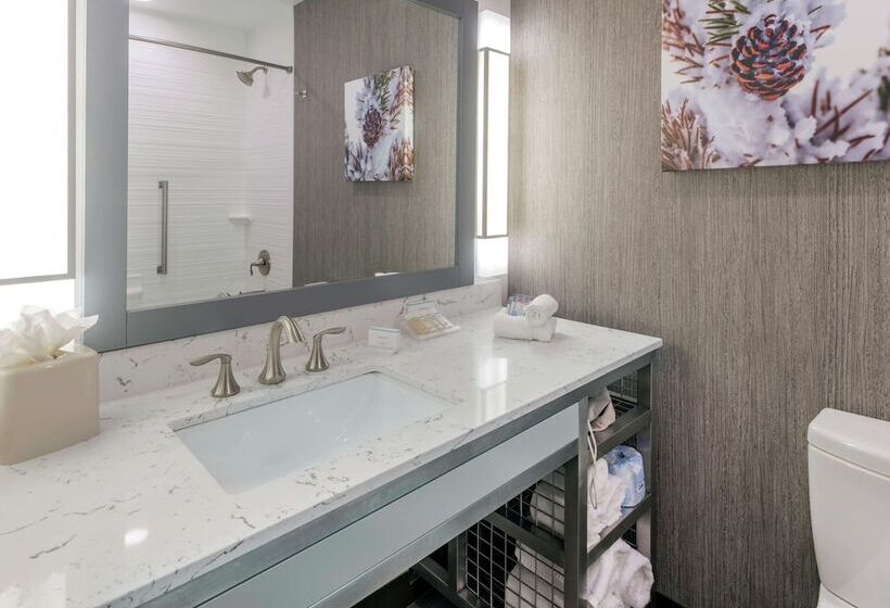 Номер Премиум, Hilton Garden Inn Arvada Denver, Co