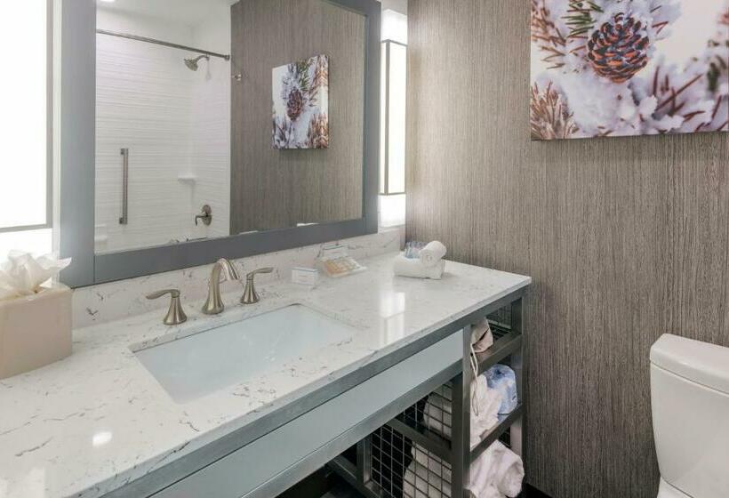 Стандартный Номер Кровать Кинг, Hilton Garden Inn Arvada Denver, Co