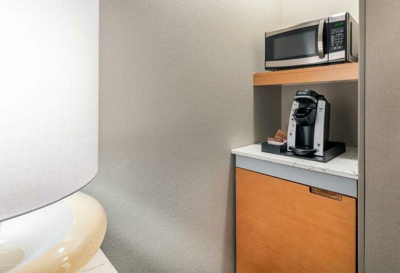 Номер Deluxe с Видом, Hilton Garden Inn Arvada Denver, Co