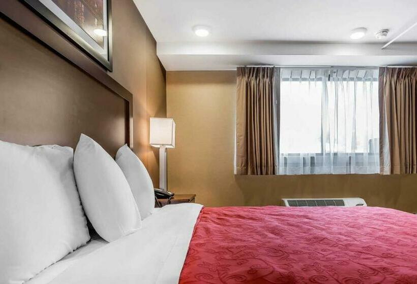 스탠다드 룸 킹사이즈 침대, Rodeway Inn Chicago/evanston