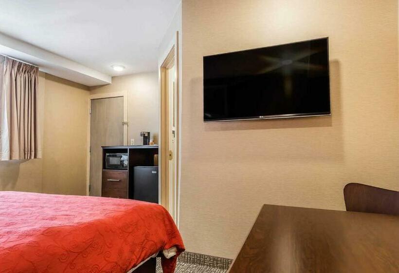 스탠다드 룸 킹사이즈 침대, Rodeway Inn Chicago/evanston