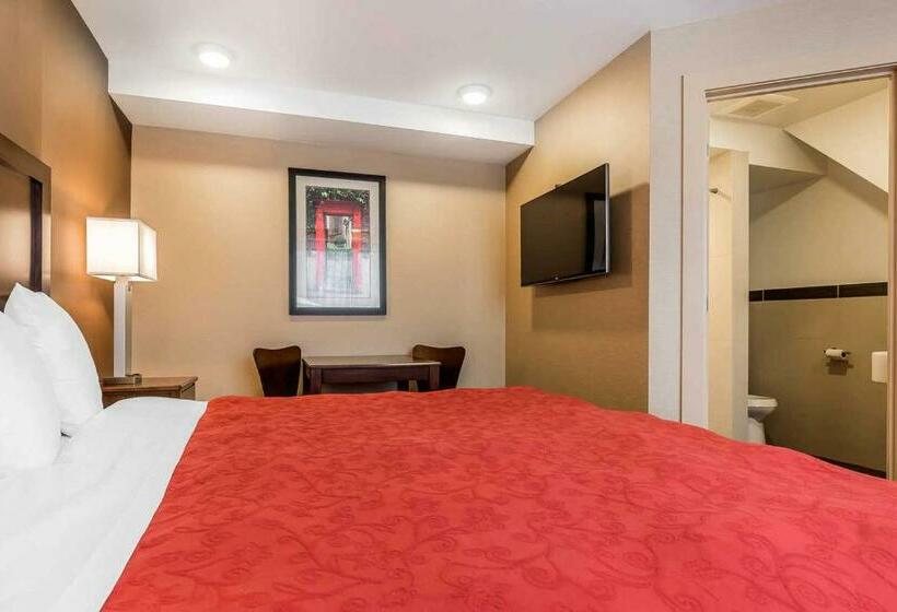 스탠다드 룸, Rodeway Inn Chicago/evanston