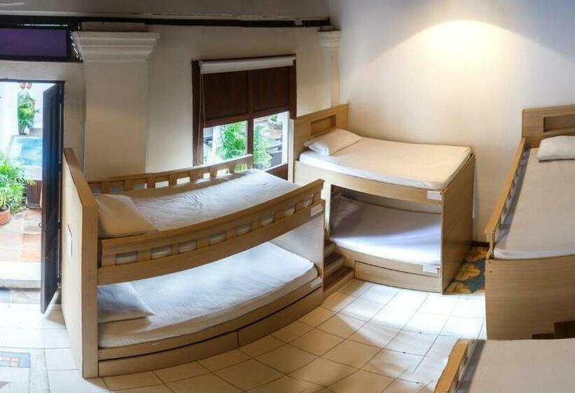 تختخواب در اتاق مشترک, Aroha Villana Hostel