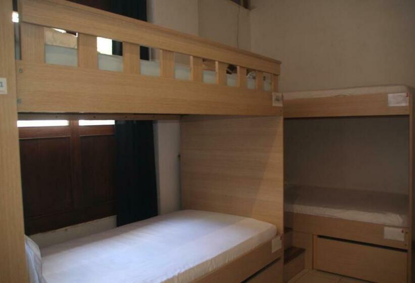 تختخواب در اتاق مشترک, Aroha Villana Hostel
