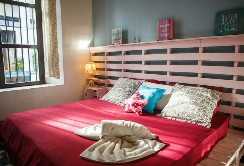 اتاق سوپریور چهار تخته, Aroha Villana Hostel