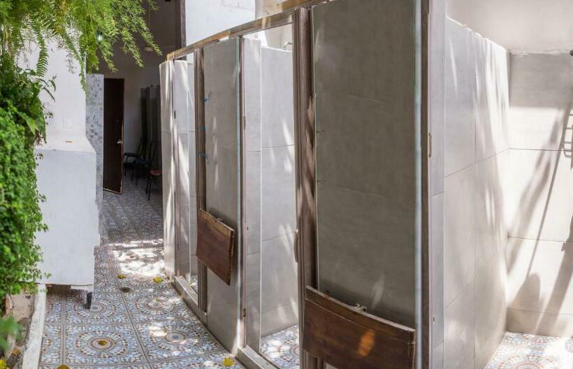 تختخواب در اتاق مشترک, Aroha Villana Hostel
