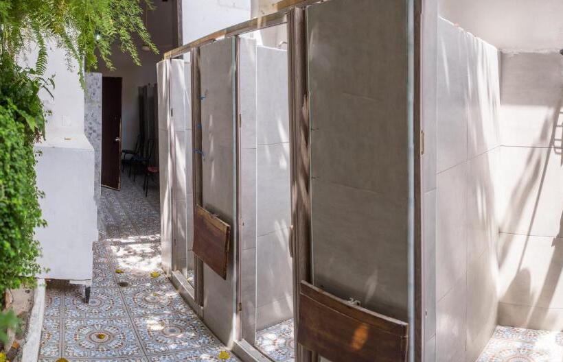 اتاق سوپریور چهار تخته, Aroha Villana Hostel
