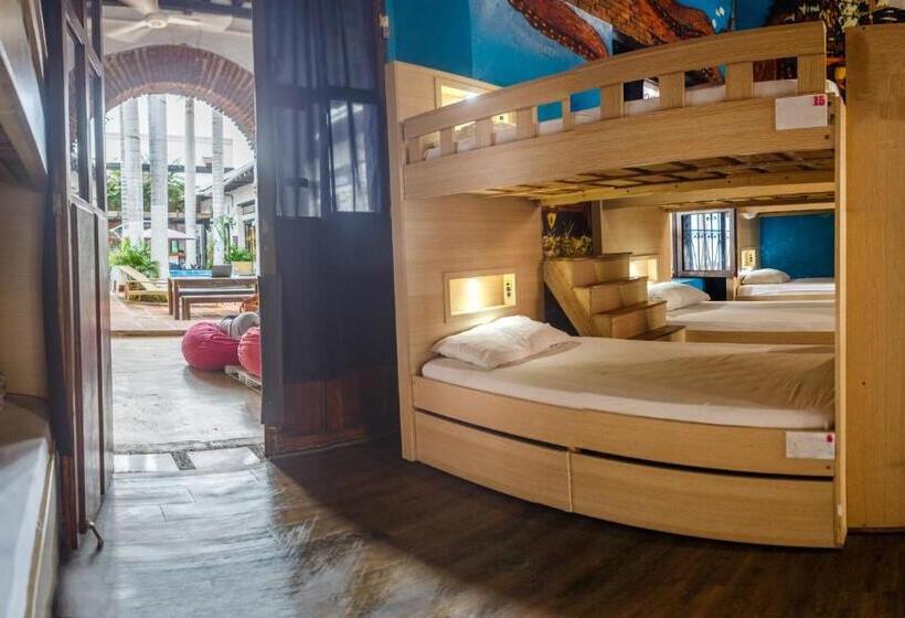 تختخواب در اتاق مشترک, Aroha Villana Hostel