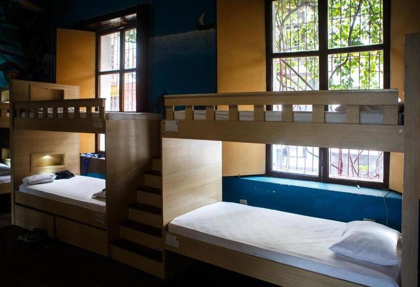 تختخواب در اتاق مشترک, Aroha Villana Hostel