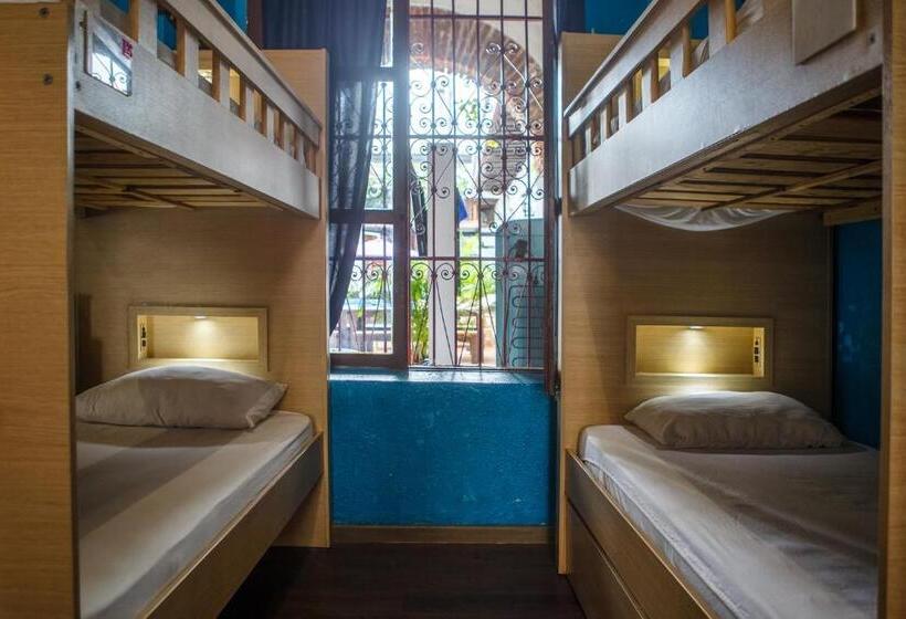 تختخواب در اتاق مشترک, Aroha Villana Hostel