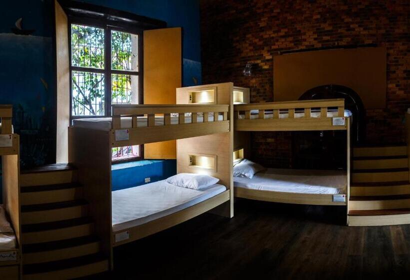 تختخواب در اتاق مشترک, Aroha Villana Hostel