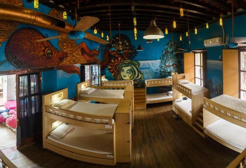 تختخواب در اتاق مشترک, Aroha Villana Hostel