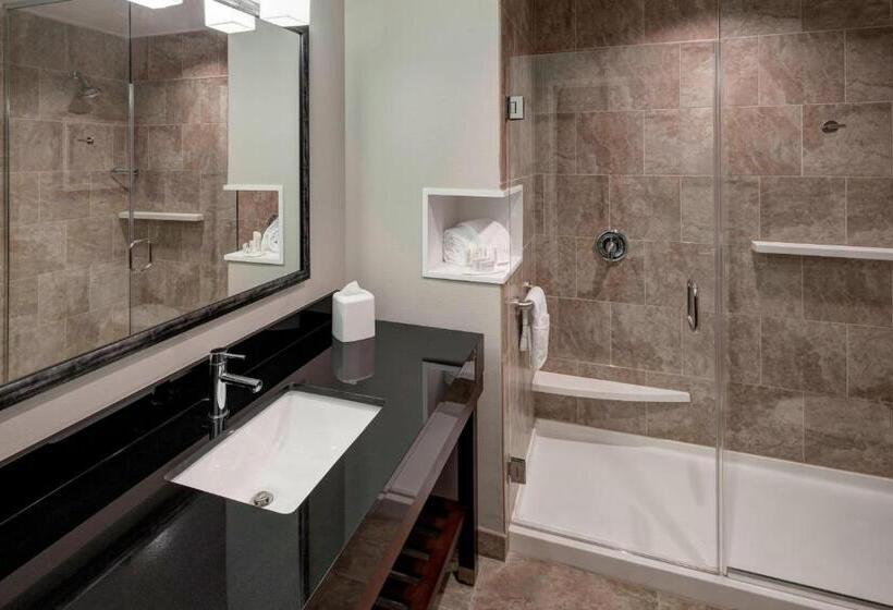 Номер Стандарт Кровать Кинг Адаптированный для Инвалидов, Courtyard By Marriott Dallas Plano/richardson