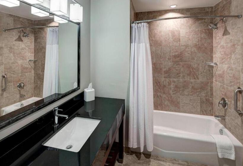 适合残疾人使用的标准间, Courtyard By Marriott Dallas Plano/richardson