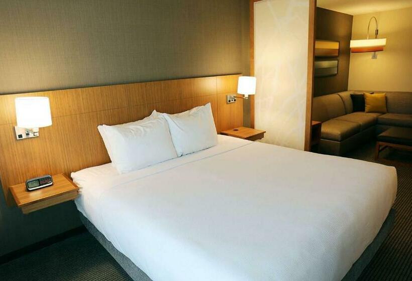 اتاق استاندارد با تخت بزرگ, Hyatt Place Austin Airport