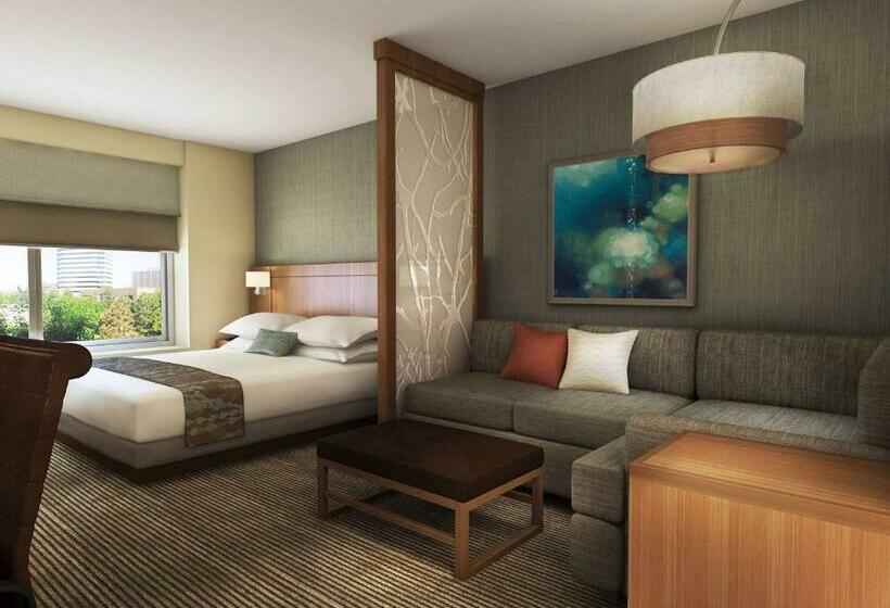 اتاق استاندارد با تخت بزرگ, Hyatt Place Austin Airport