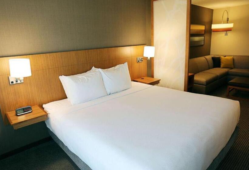 سوئیت با تخت بزرگ, Hyatt Place Austin Airport