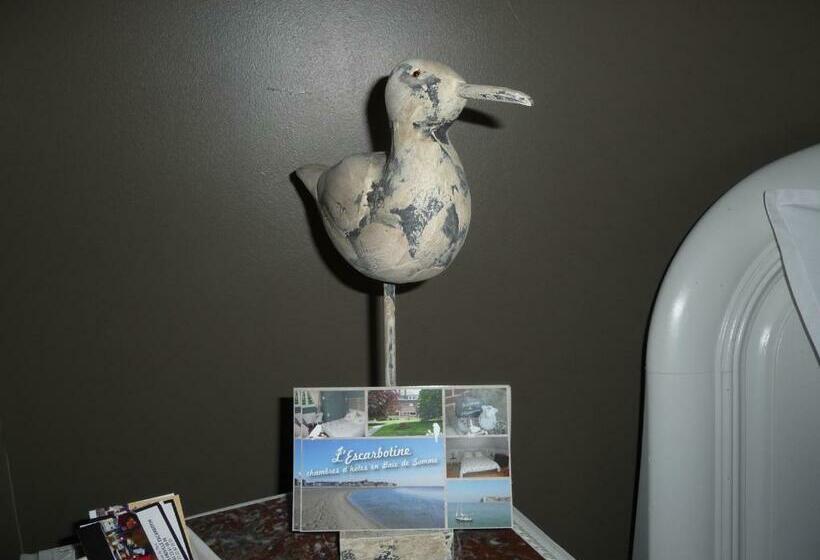 جناح, L'escarbotine