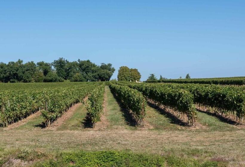 Номер Стандарт, L Ilot Vignes