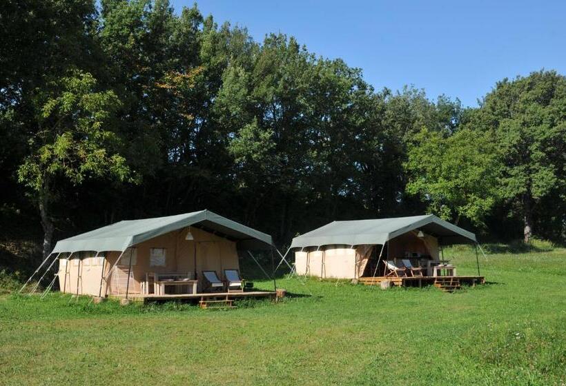 Standard Tent, Les ânes De Forcalquier