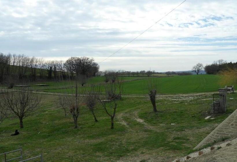 스탠다드 룸, Les ânes De Forcalquier