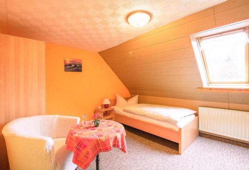 Номер Стандарт Индивидуальный, Ferienhotel Goldhübel