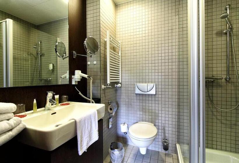 Номер Стандарт, Santé Royale Hotel  & Gesundheitsresort Bad Brambach