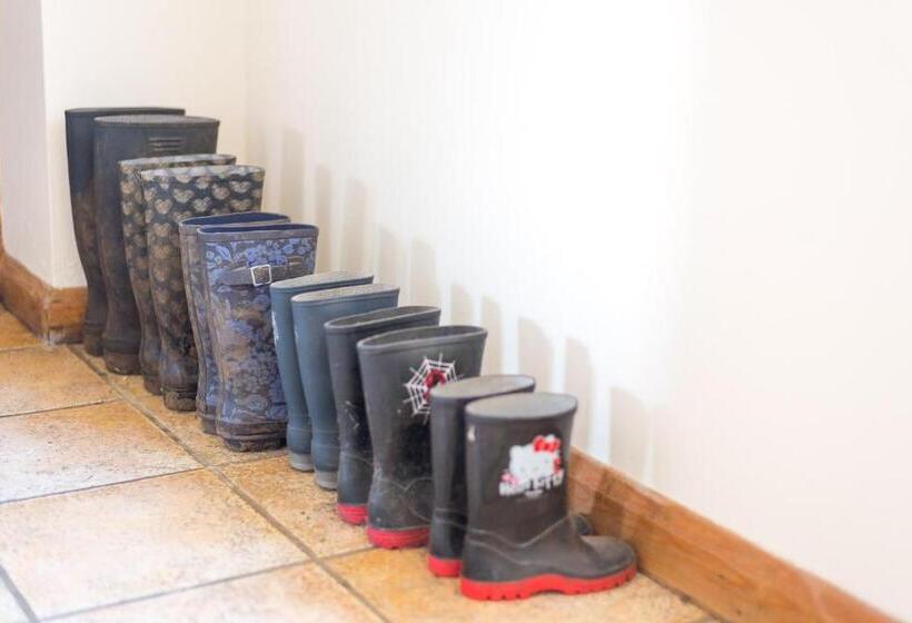 ガーデンビューファミリールーム, Little Abbey Farm