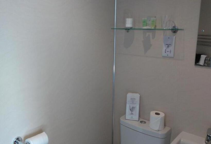 Номер Superior Одноместный, Swiss Court Guest House