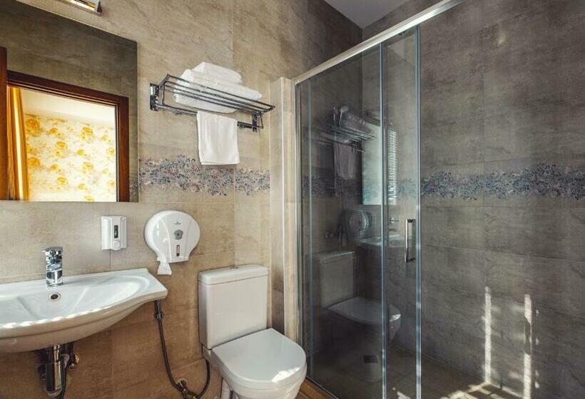 اتاق استاندارد, Park Hotel Tskaltubo   Balneo Resort