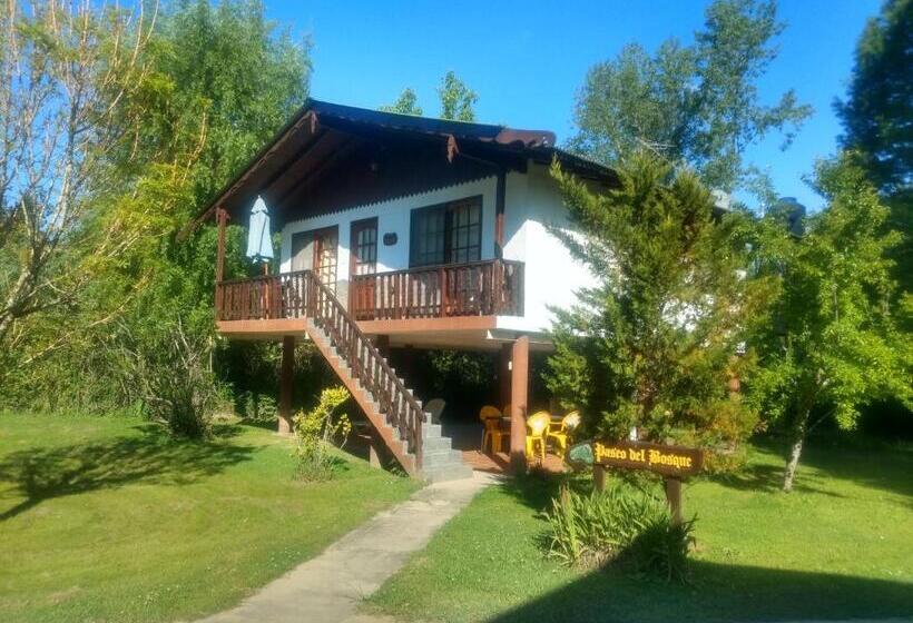 샬레, Alpenhaus Bier Und Gasthaus