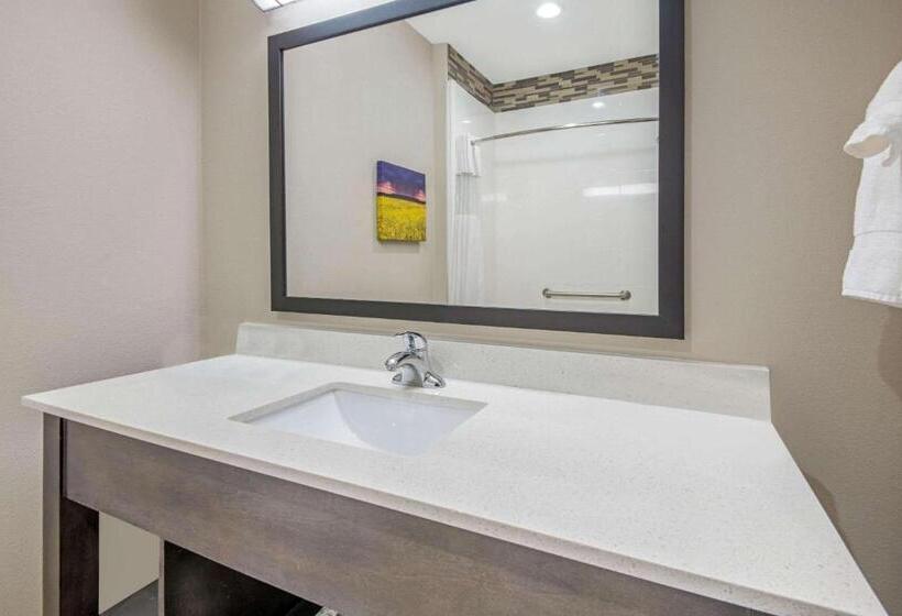 Номер Стандарт Кровать Кинг Адаптированный для Инвалидов, La Quinta By Wyndham Weatherford Ok