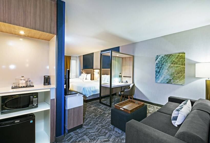 إستوديو قياسى, Springhill Suites By Marriott Tulsa At Tulsa Hills