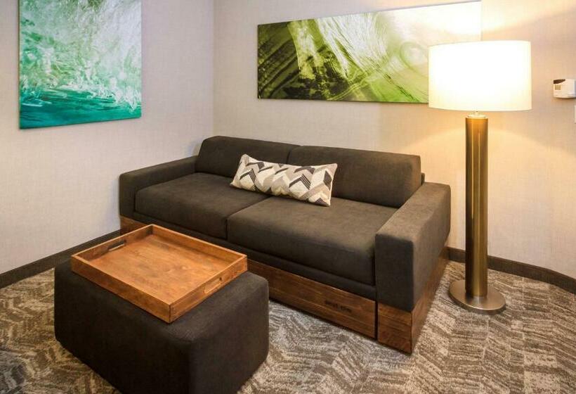 Люкс Кровать Кинг, Springhill Suites By Marriott The Dunes On Monterey Bay