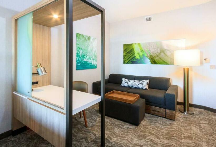 Suíte Cama King, Springhill Suites By Marriott The Dunes On Monterey Bay