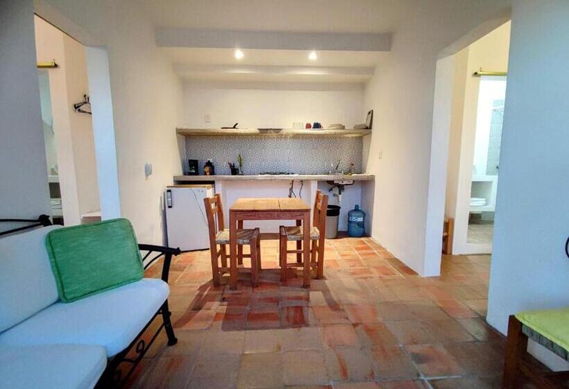 آپارتمان 1 خوابه با چشم‌انداز دریا, Casa Rey Sol Vallarta