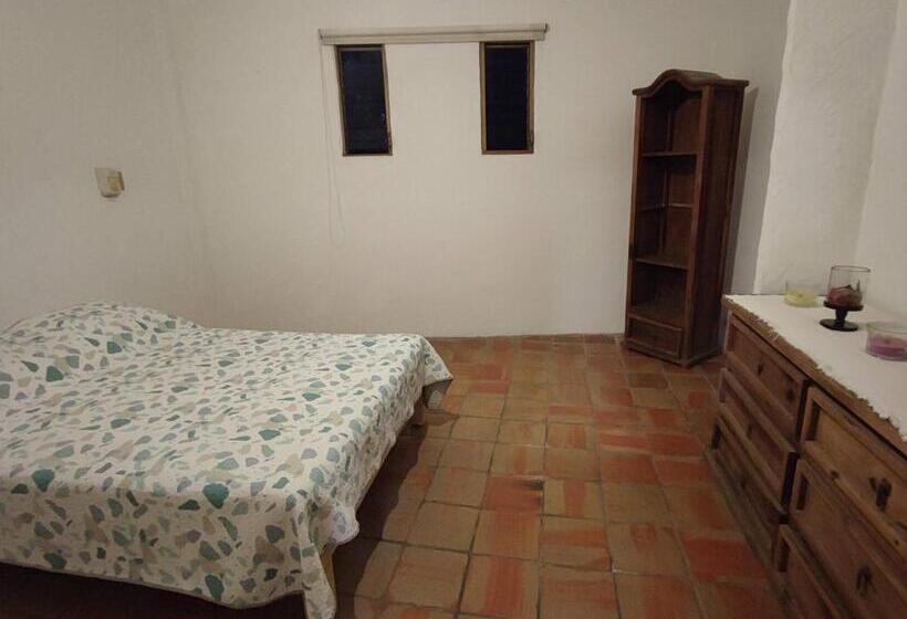 سوییت سوپریور با چشم‌انداز دریا, Casa Rey Sol Vallarta