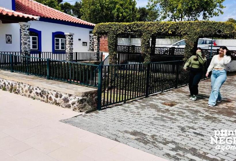 Люкс, Alojamento Quinta São José By Pontanegraazores