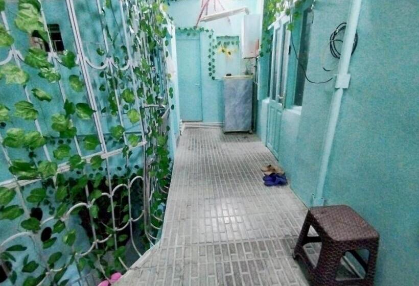 共用房间的床, Sweet Home Hostel