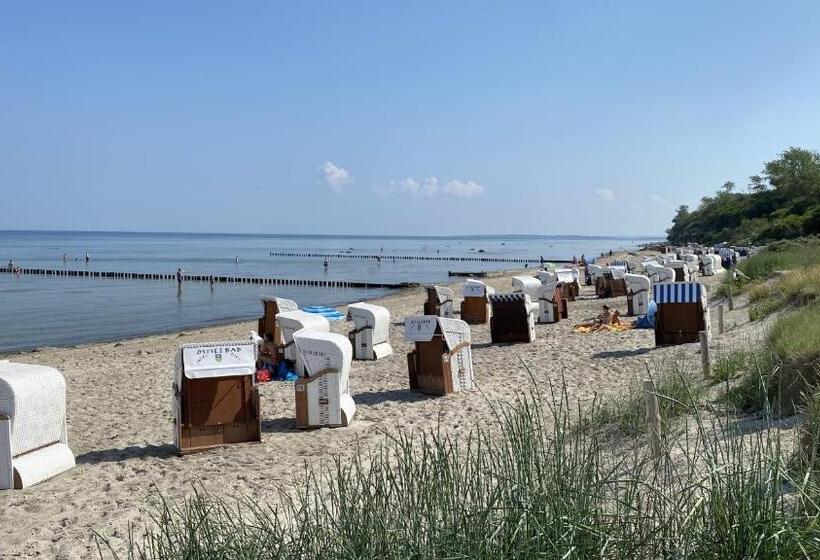 Апартаменты 1 Спальня Вид на Море, Appartementhaus Möwe