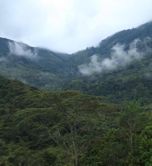 Четырехместный Номер Стандарт, Aracari Ecolodge