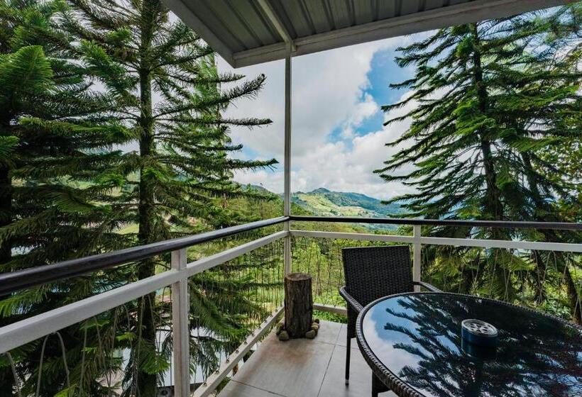 デラックスルーム, Mountain Valley Resort