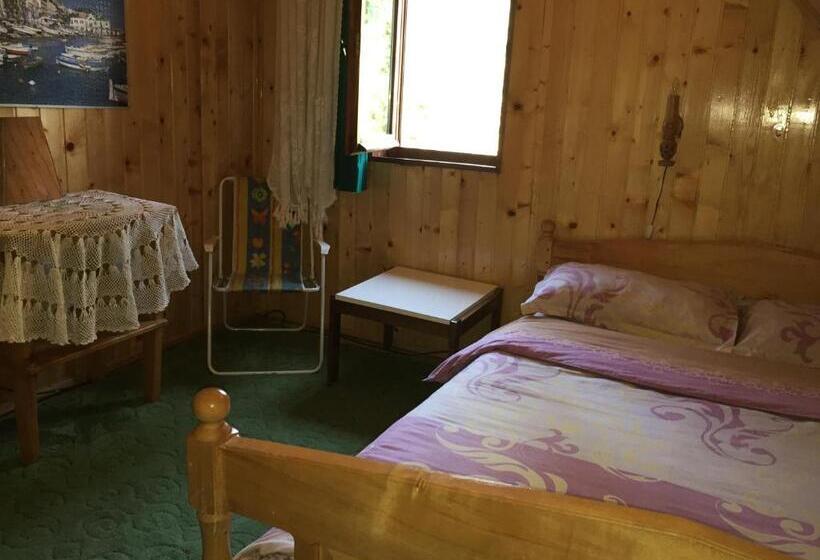 اتاق استاندارد, Homestay Djerkovic