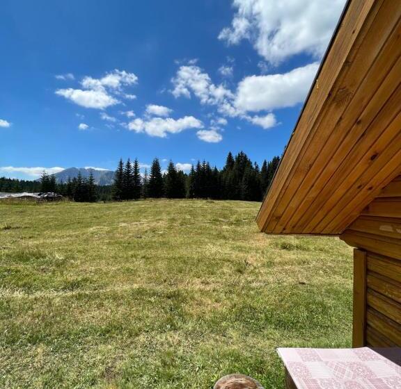 بانگلوی استاندارد, Homestay Djerkovic