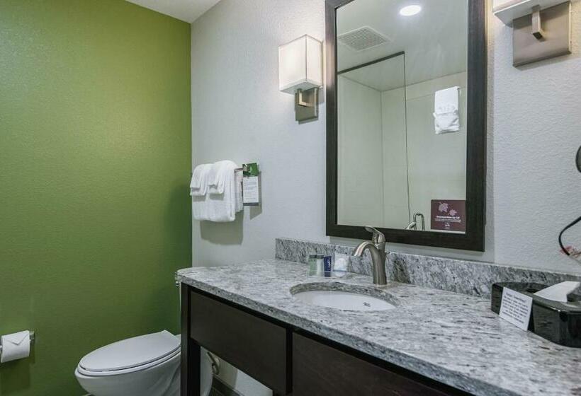 Люкс Кровать Кинг, Sleep Inn & Suites