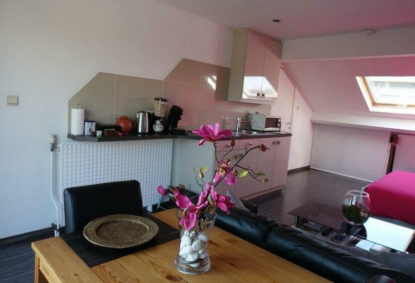 استودیوی استاندارد, B&b Basilique