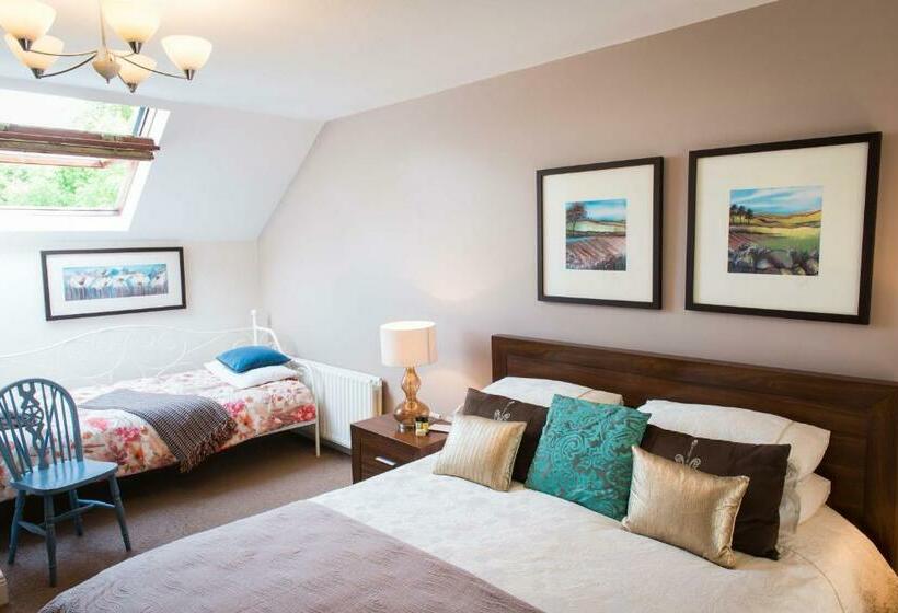 Номер Стандарт, Ballinwillin House