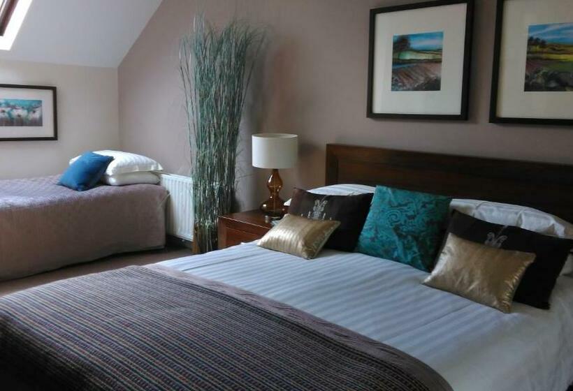Номер Стандарт, Ballinwillin House