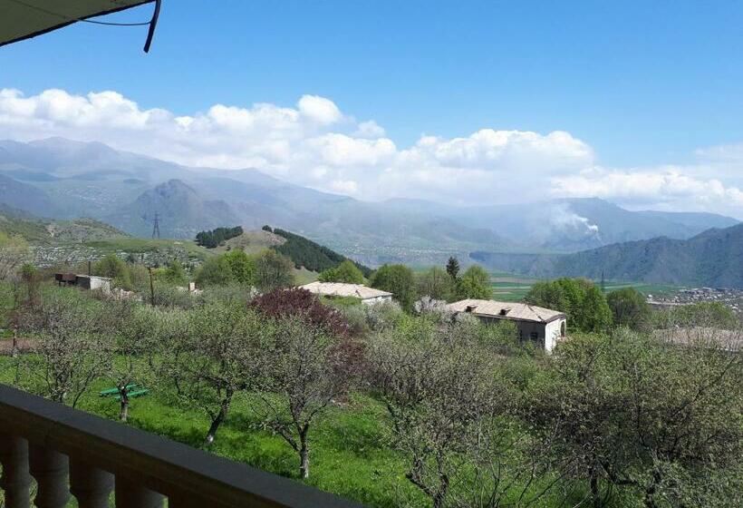 Номер Стандарт, Odzun