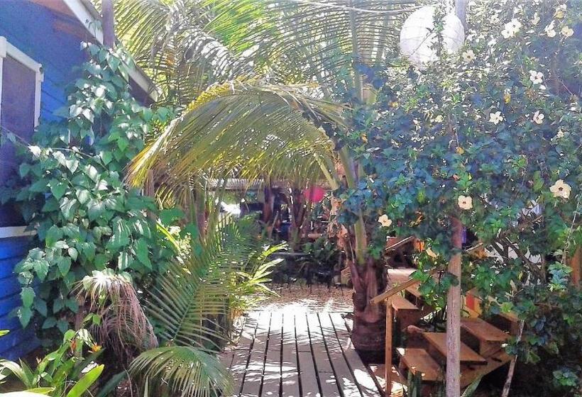 Четырехместный Номер Стандарт, The Funky Dodo Backpackers Hostel